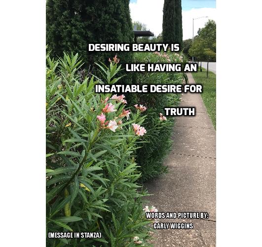 desiring beauty pic 2