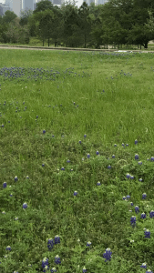 5E0965E1-8F2F-4CF9-987A-7F5C2CA58530