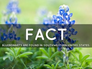 94986008-3A23-4525-B126-CCA8153FAB8C