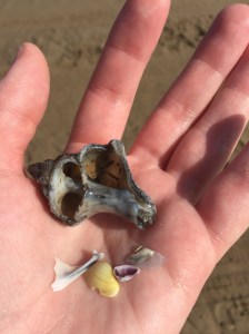 3CED9609-29BF-44FA-B4C2-51B14A3A7A56