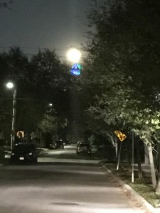 51B794C3-16CB-43E6-BB07-7BAE930D3332