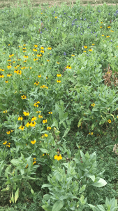 B493EE76-6D1F-45DF-8293-E6F72A40B0E3