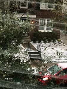 BED0B23F-9170-4FC1-A9CD-FA3294507DF0