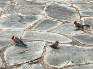 E548B3EA-1FBB-42C9-A60F-8D98FB2AA134