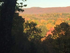 FEF9173C-0E10-450A-A7DB-3044177588F0