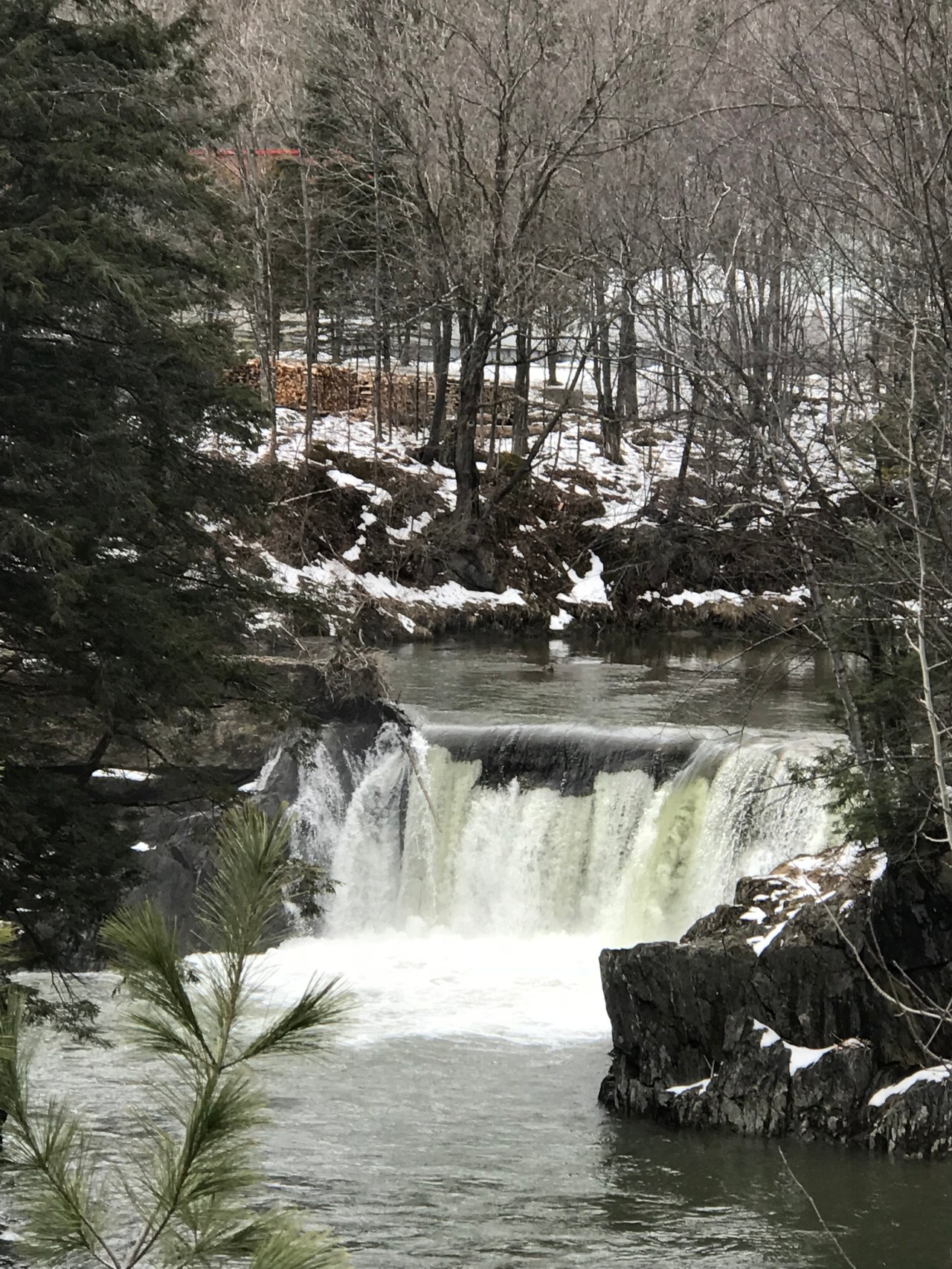 2DB03037-C5E9-4B28-BB8F-9C9FB2610BF6