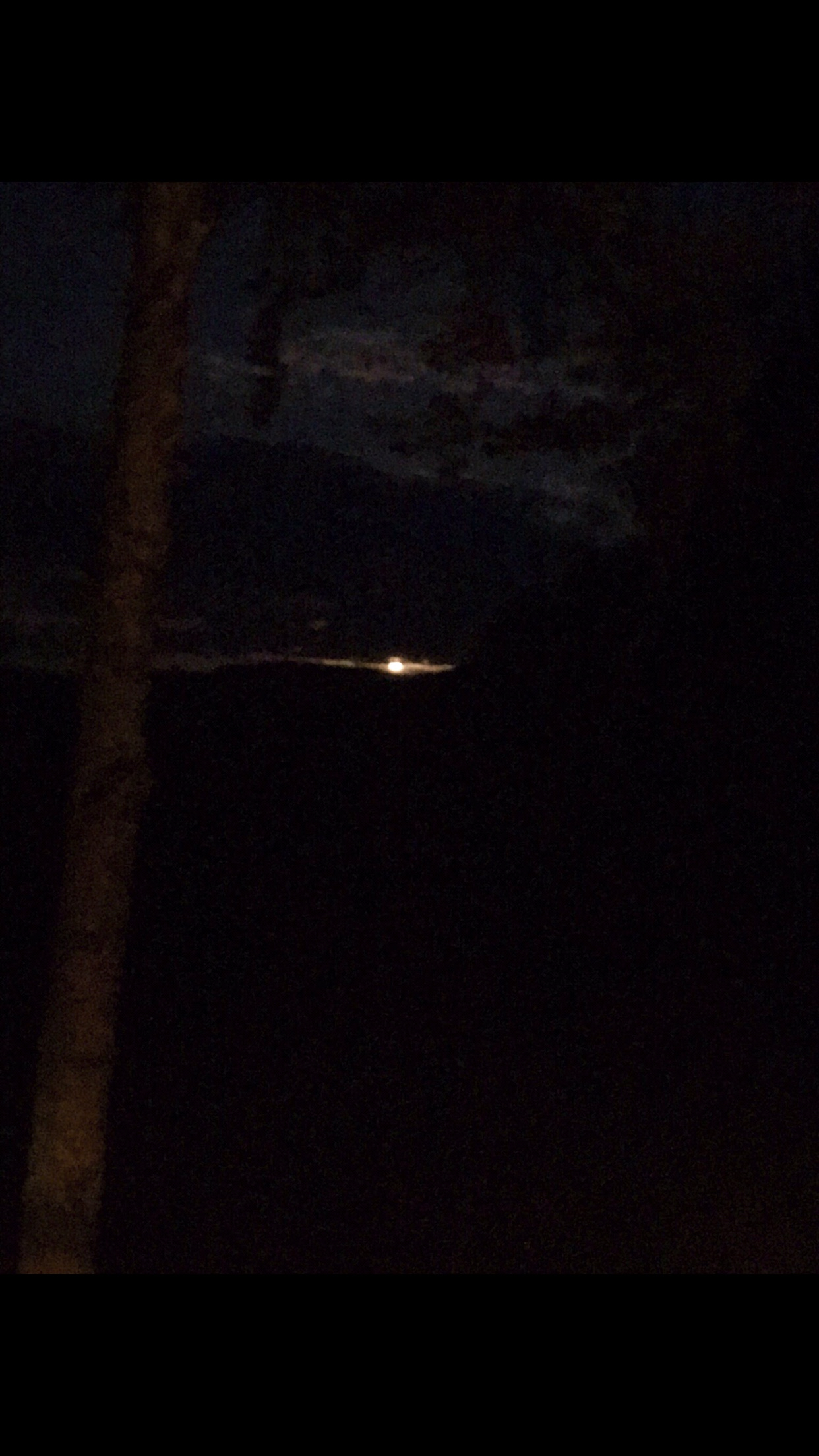 F5B4C760-68EF-477A-A2ED-CA86946D3CEF