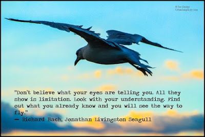 Coolest Jonathan Livingston Seagull Quotes If You Love Someone urban simplicity