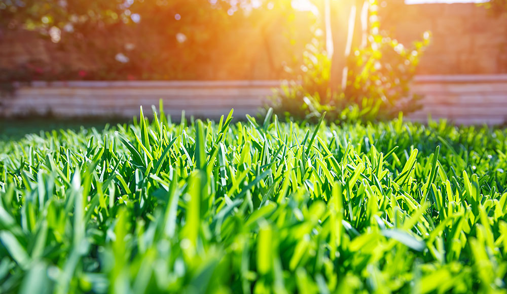 9bd691f1-4263-4f38-b563-8c2d81dd4763