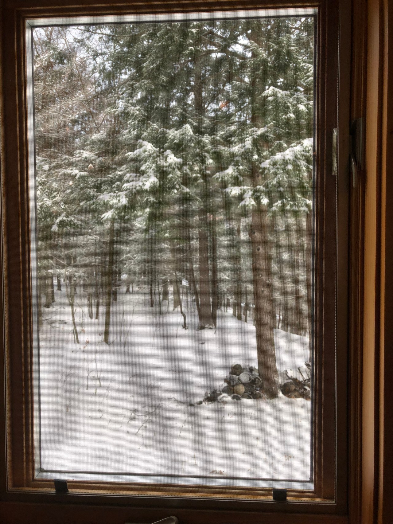 C51224C3-5492-4B63-A6A5-5EA83C888AEF