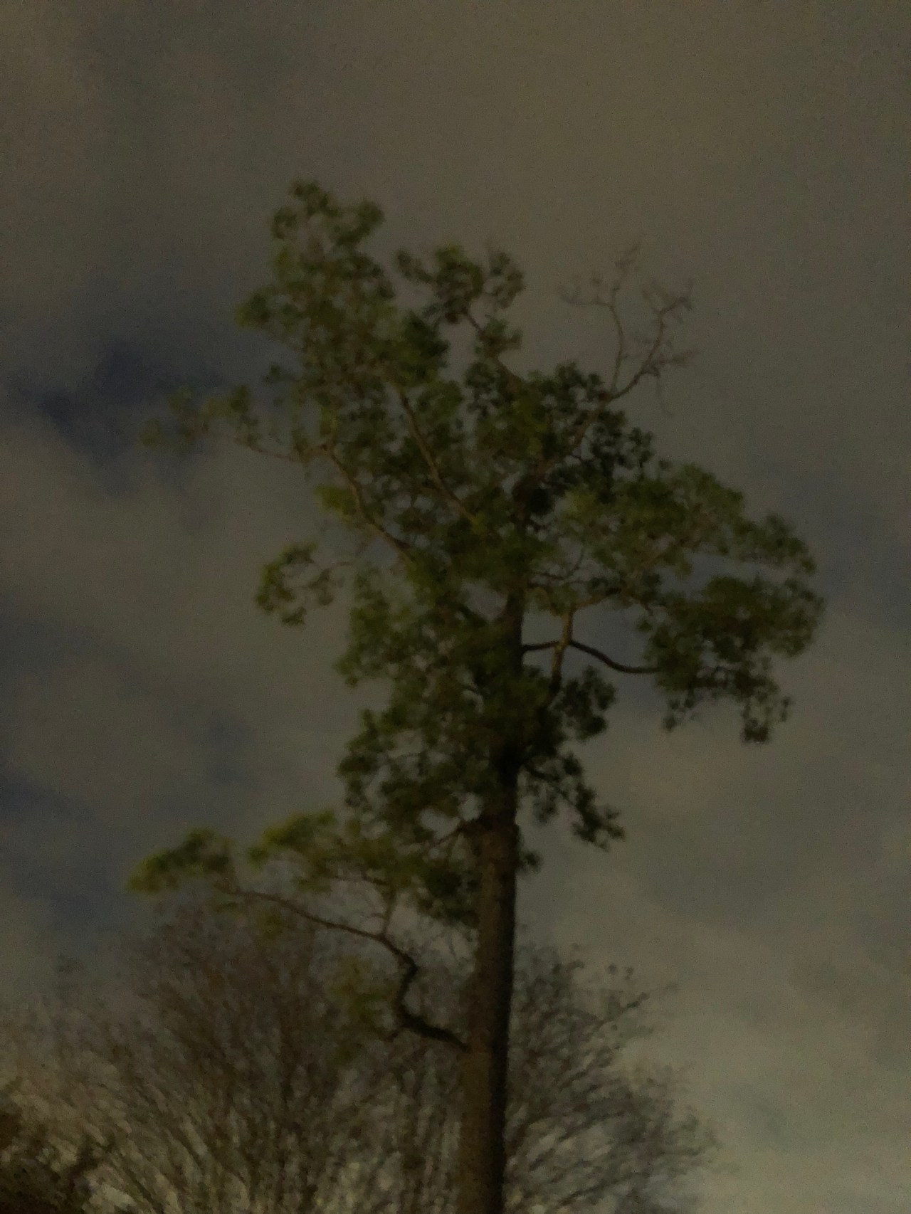 F642EB6C-1A48-4252-A3A7-5FC87041B7AB