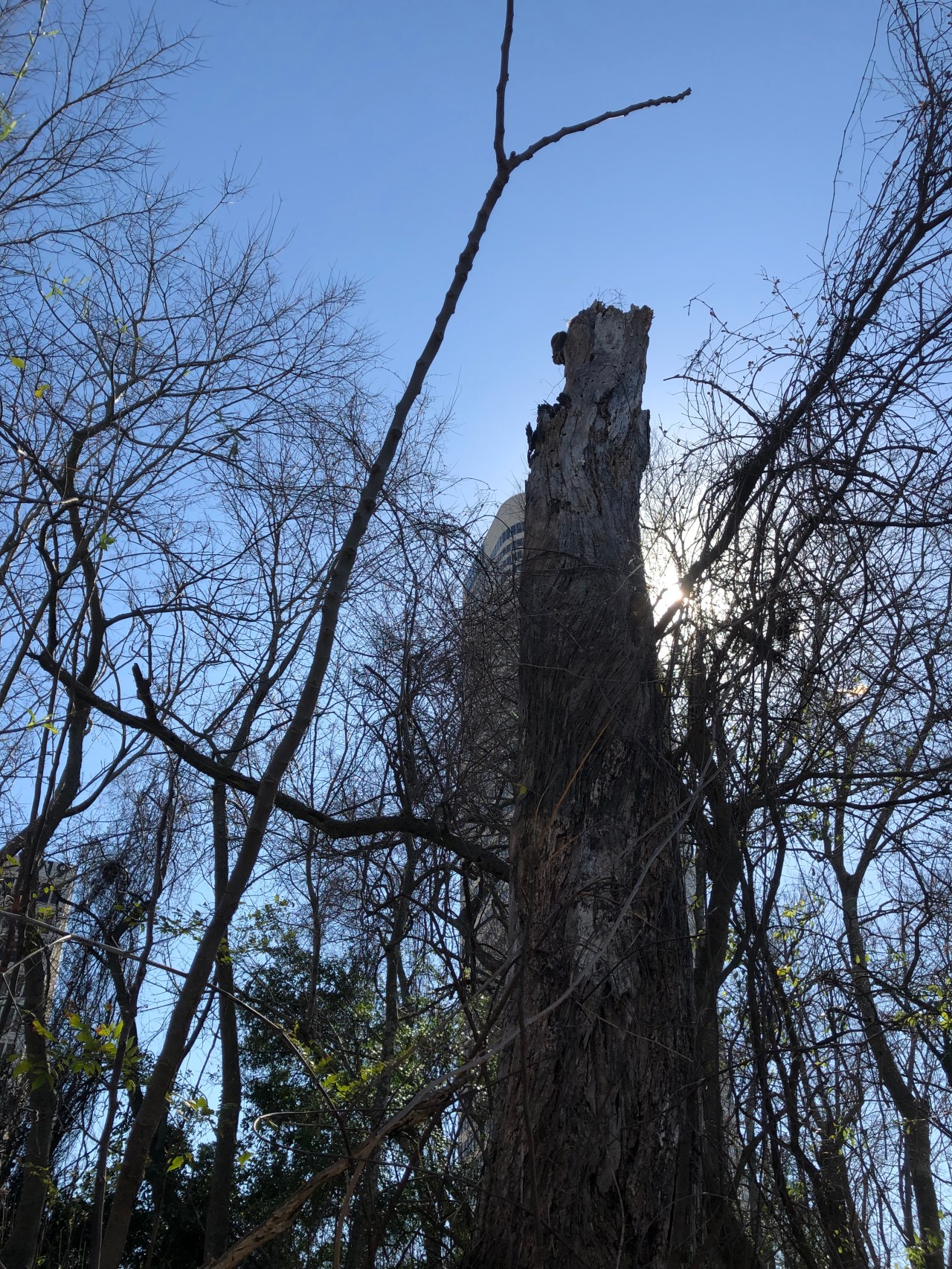 8178743E-205F-4F50-BA16-91E2F3A3EA0C