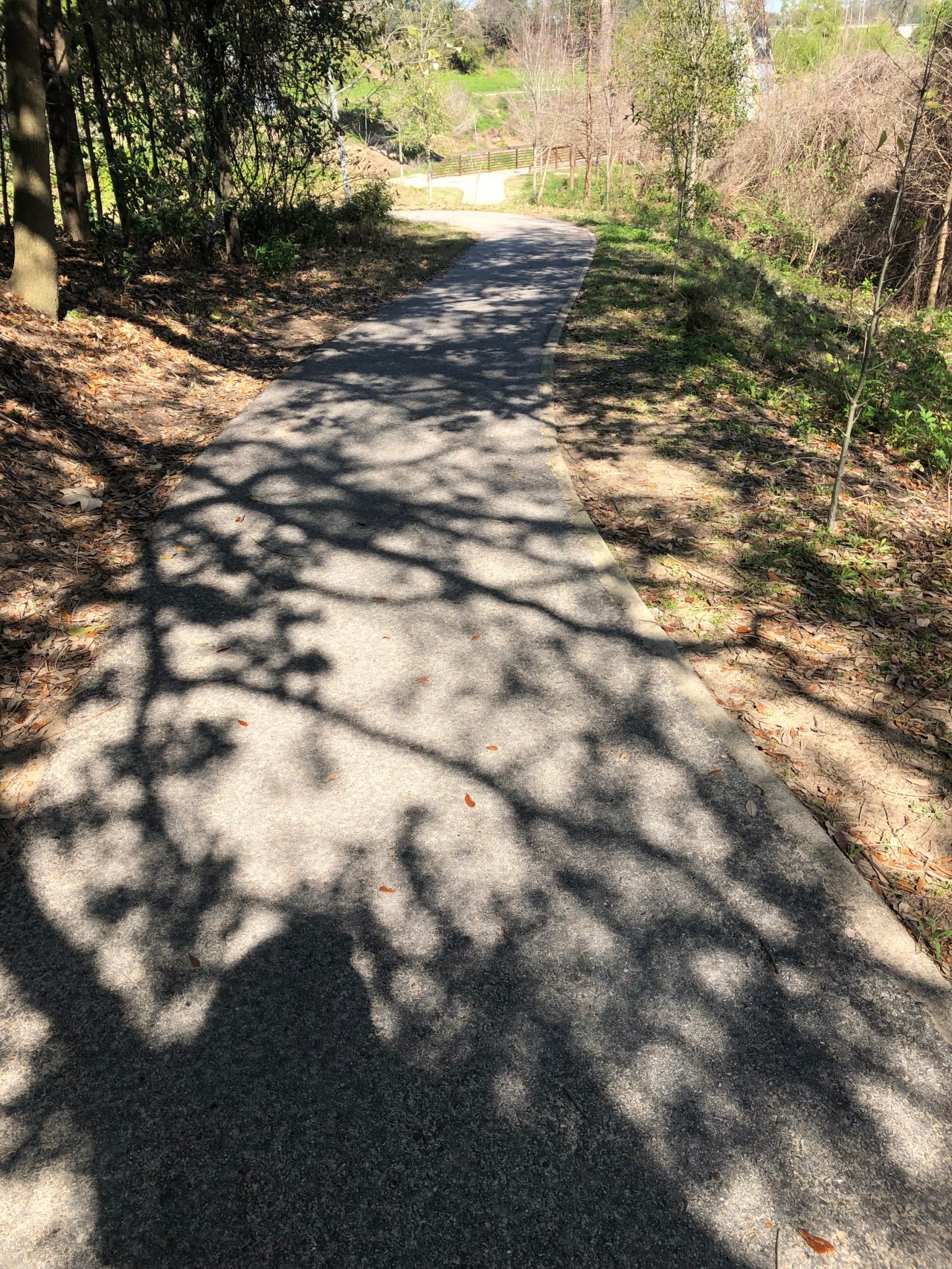 F50B4614-42A4-4C9F-A57F-6162D9A55333