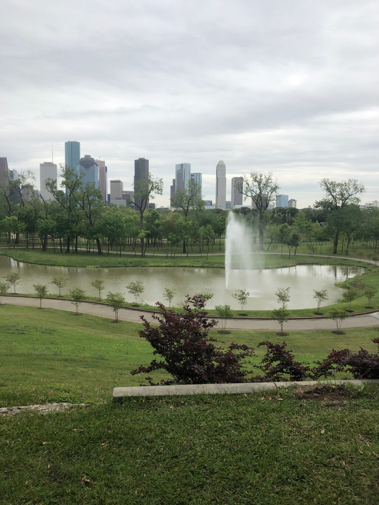 19E76D80-59E5-4309-86EE-DB787588092B