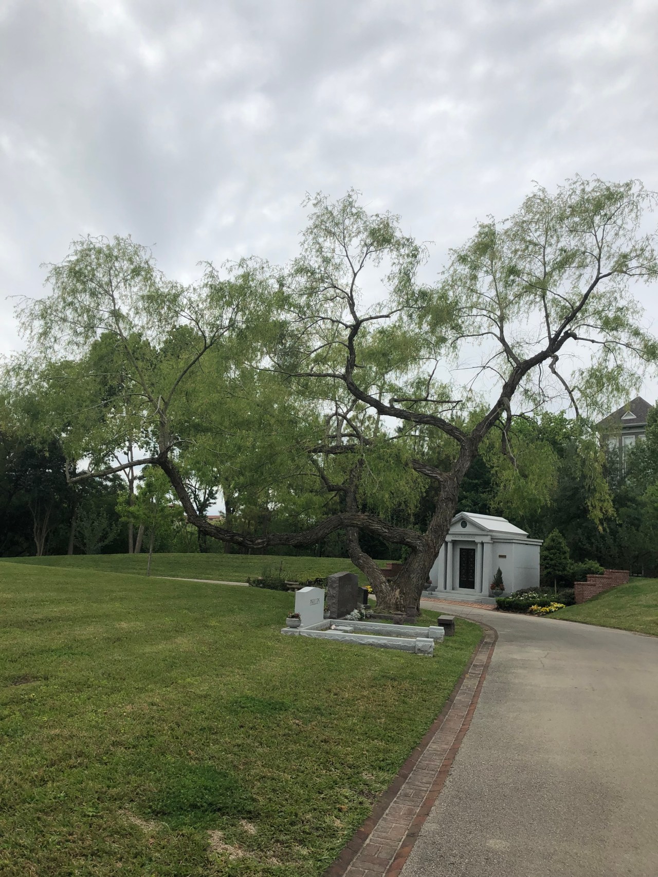 277CEEBC-4F2E-469F-889E-AC68189AEFB2