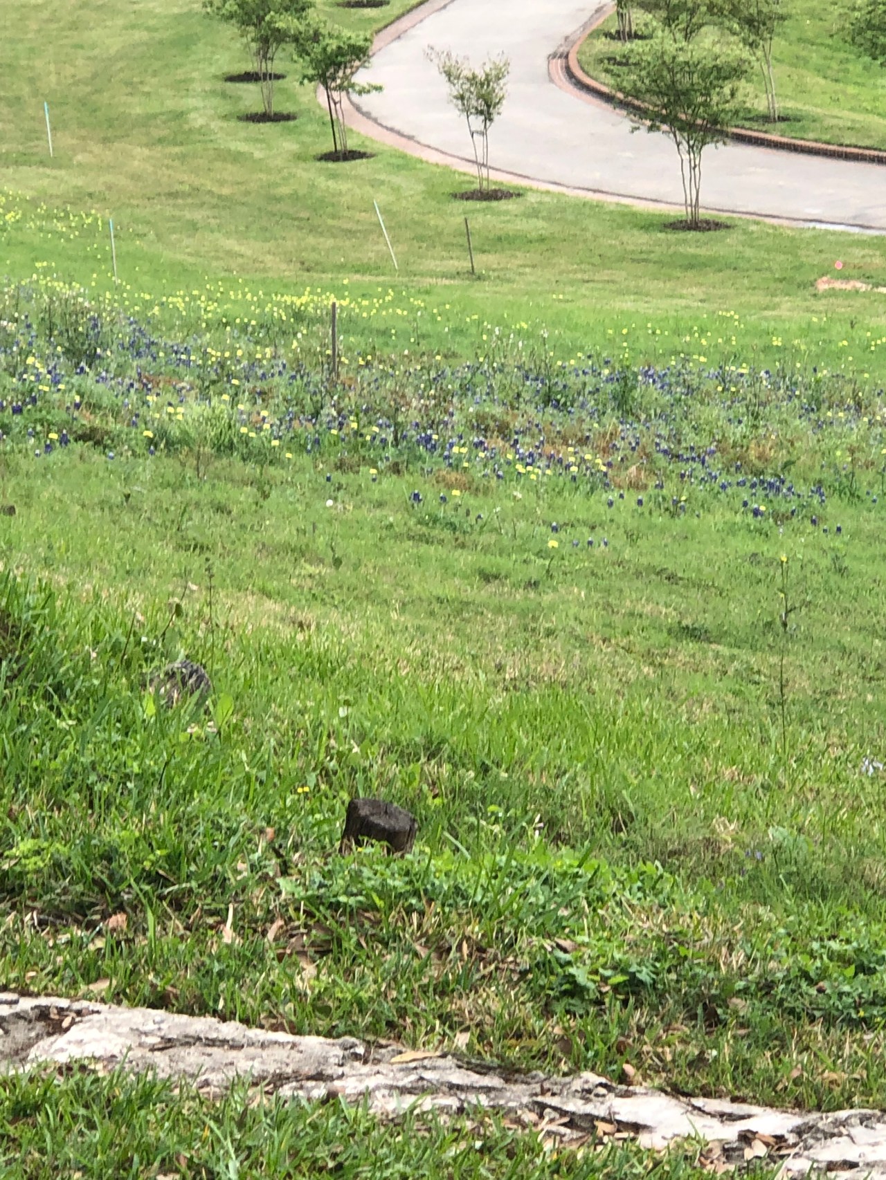 C6A0B16E-B9BA-4CB1-8150-5AE0F9745FBD