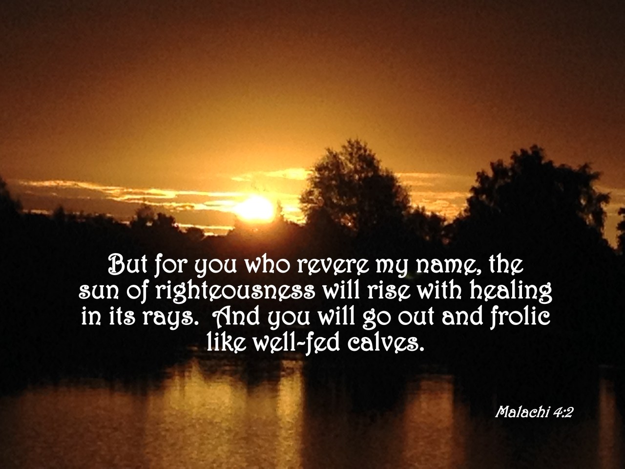 E60E73D0-1EC7-4C5F-862D-7BACBDD8EDC4