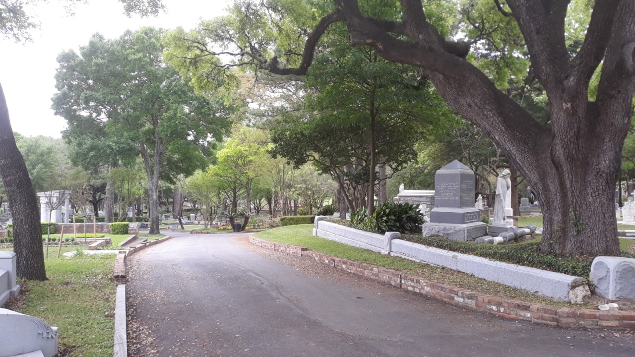 FECCEAD8-35C9-4973-92AD-78689CB8BF43