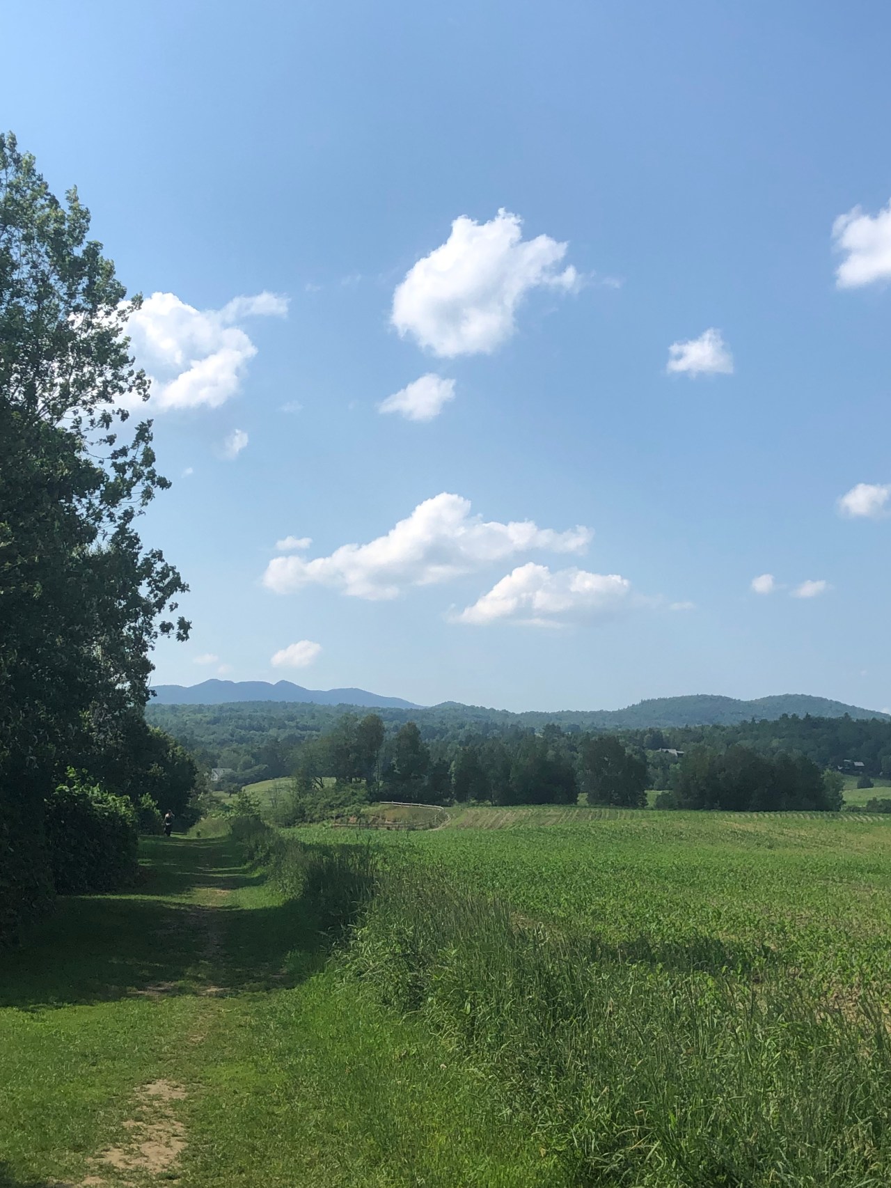 16EFCFE7-FC0E-4EB6-B4F9-511D139726A3