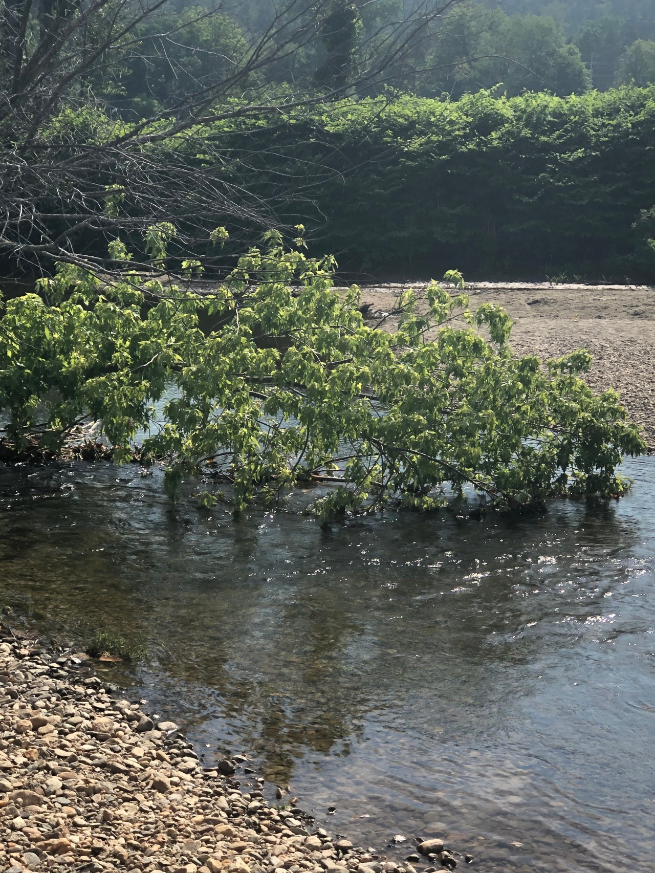 5AFE55A1-FE25-4BCD-8FCF-D45F24DA4749