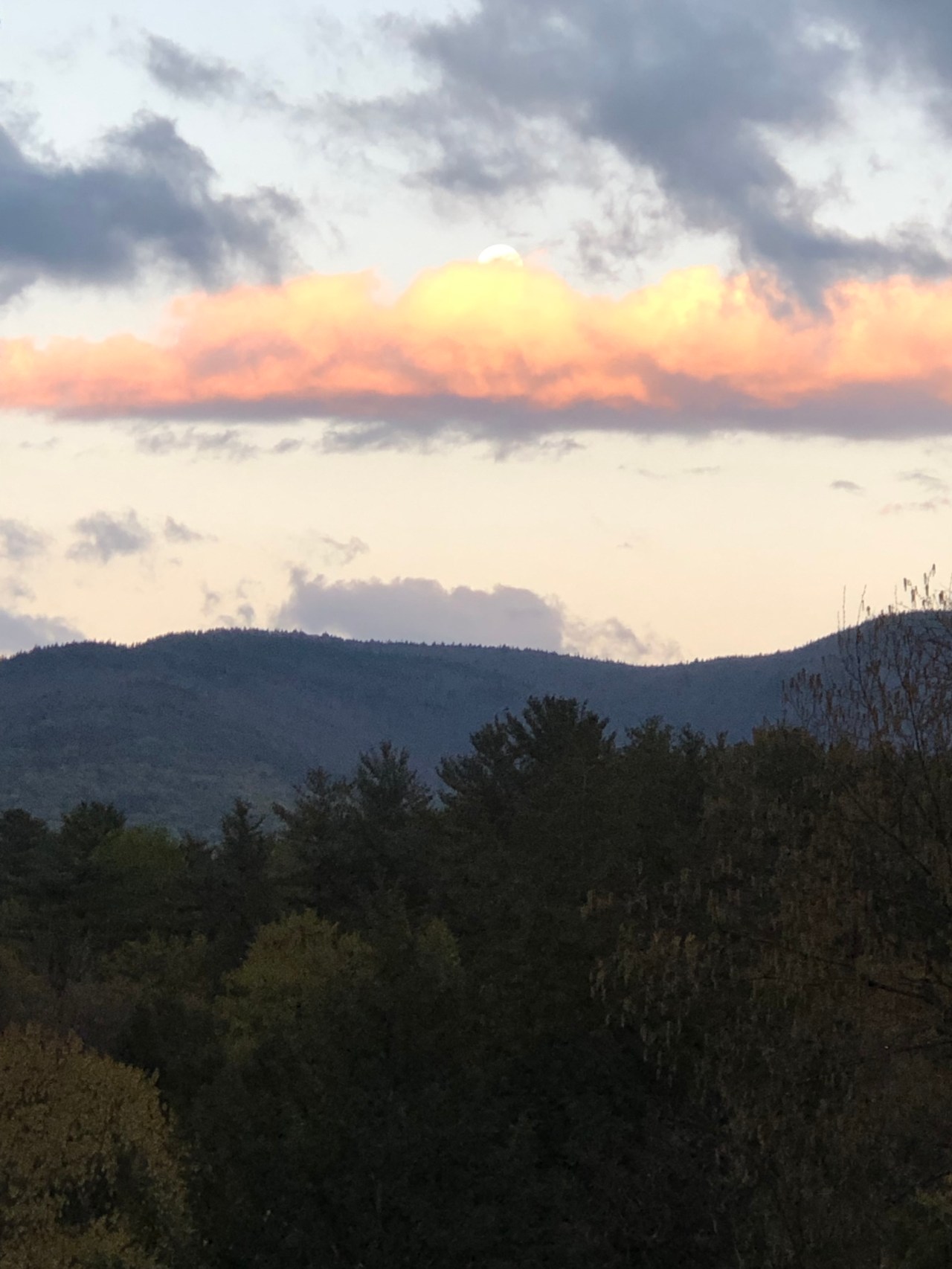 704E7EE1-DF50-4F39-8350-56BBBDBBAF33